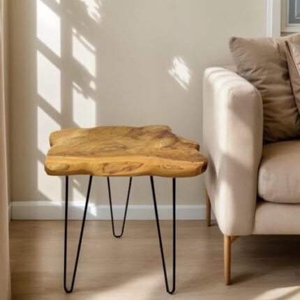DONZIKLE Natural Edge End Table, Live Edge Side Table with Hairpin Legs, Small Natural Wood Coffee Table ，Stump End Table for Living Room, Bedroom, Farmhouse Decor (16" L x 12" W x 17" T)