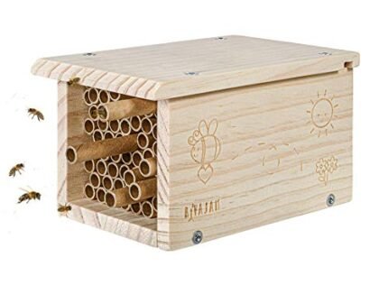 Rivajam Build a Bee House DIY Woodworking Project | Solitary Mason Bee House Nesting Box Wood Building Kit & Tools | Garden Arts & Crafts Activities for Toddler Boys & Girls Kids Teens Adults & Family