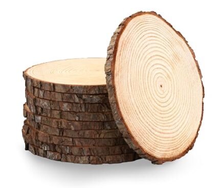 Set of 10 Medium Wood Slices (8-10”) – Rustic Natural Wood Rounds for Wedding Decor, Centerpieces, and Rustic Party Decorations