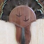 Taxidermists Woodshop The Black Walnut Carved Turkey Mounting Kit with Beard Plate -02