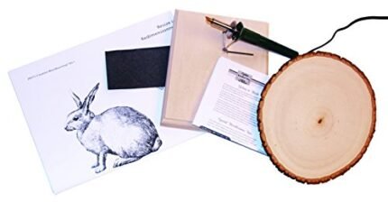 Walnut Hollow Creative Woodburning (Pyrography) Kit for the Beginner in Arts, Crafts & Hobby