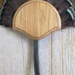 Taxidermists Woodshop The Medium Oak Turkey Mounting Kit -01
